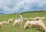 Cánh đồng Cừu ở Vũng Tàu – Điểm đến cuối tuần gần Sài Gòn